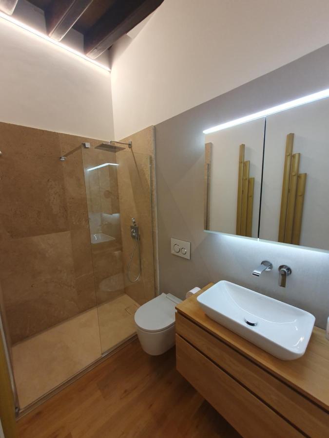 Duplex Luxury Giralda With Terrace Διαμέρισμα Σεβίλλη Εξωτερικό φωτογραφία